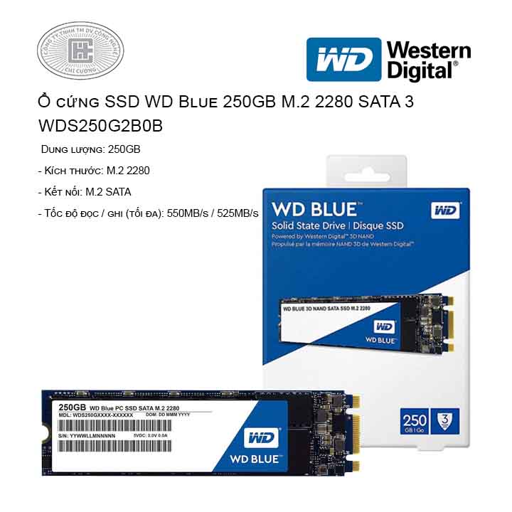 SSD WD Blue 250GB WDS250G2B0B (M2-2280)